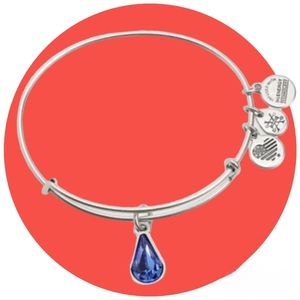 Alex and Ani Sapphire Crystal Bangle Bracelet